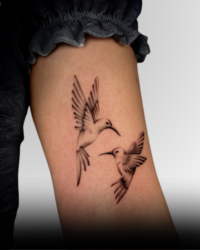 Birds