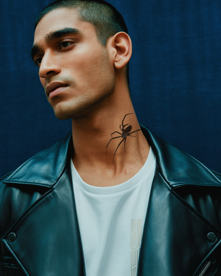 Spider