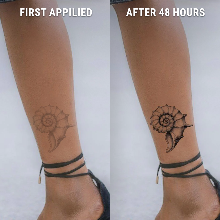 Before-After-Nautilus-Shell
