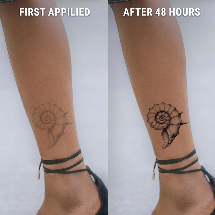 Before-After-Nautilus-Shell