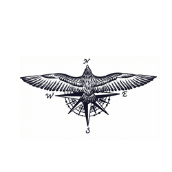 Eagle compass
