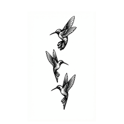 Hummingbird Trio