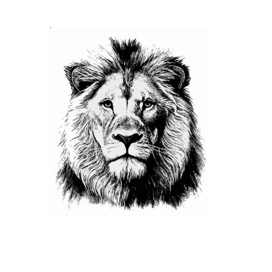 Lion's Gaze - inkbolt