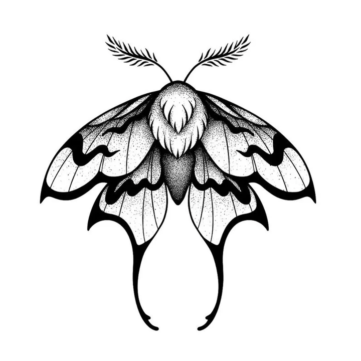 Lunar Moth