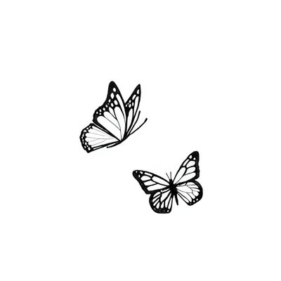 Soaring Butterflies