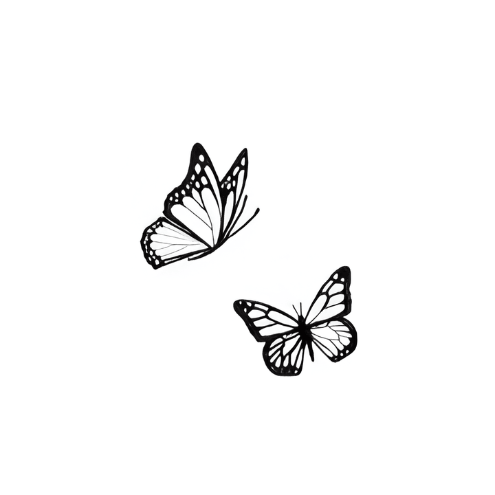 Soaring Butterflies