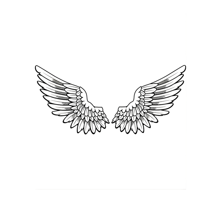 Wings (Bieber-Inspired)