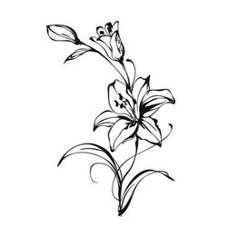 Blooming Lily