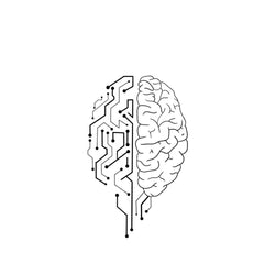 Brain Circuit