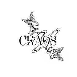 Chaos Butterfly