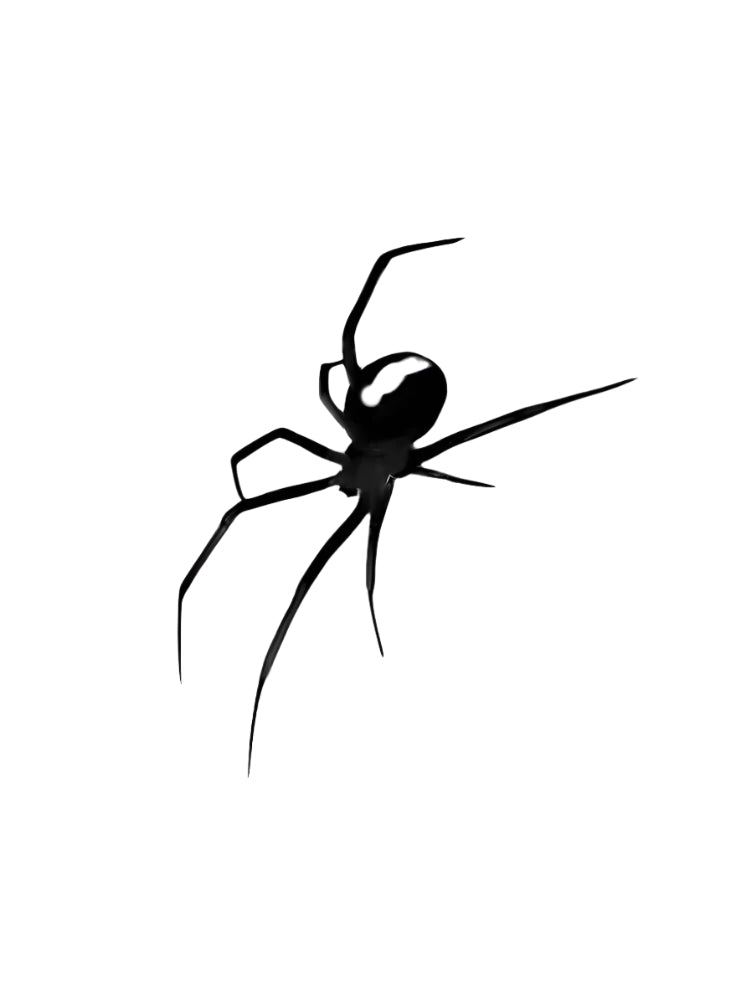 Spider Tattoo