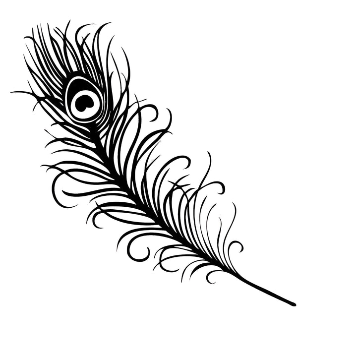 Peacock Feather