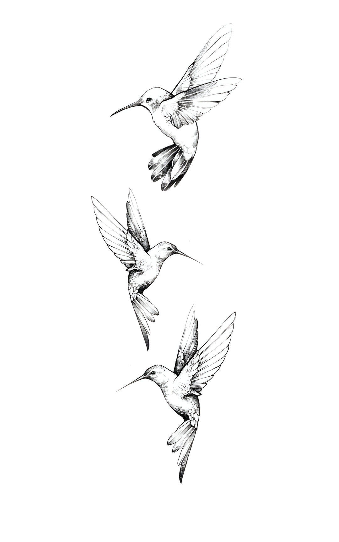 Hummingbird Trio Tattoo