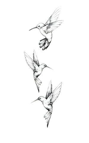Hummingbird Trio