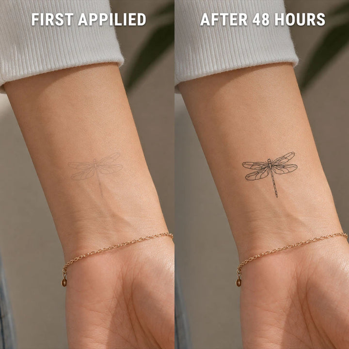 dragonfly-after-before
