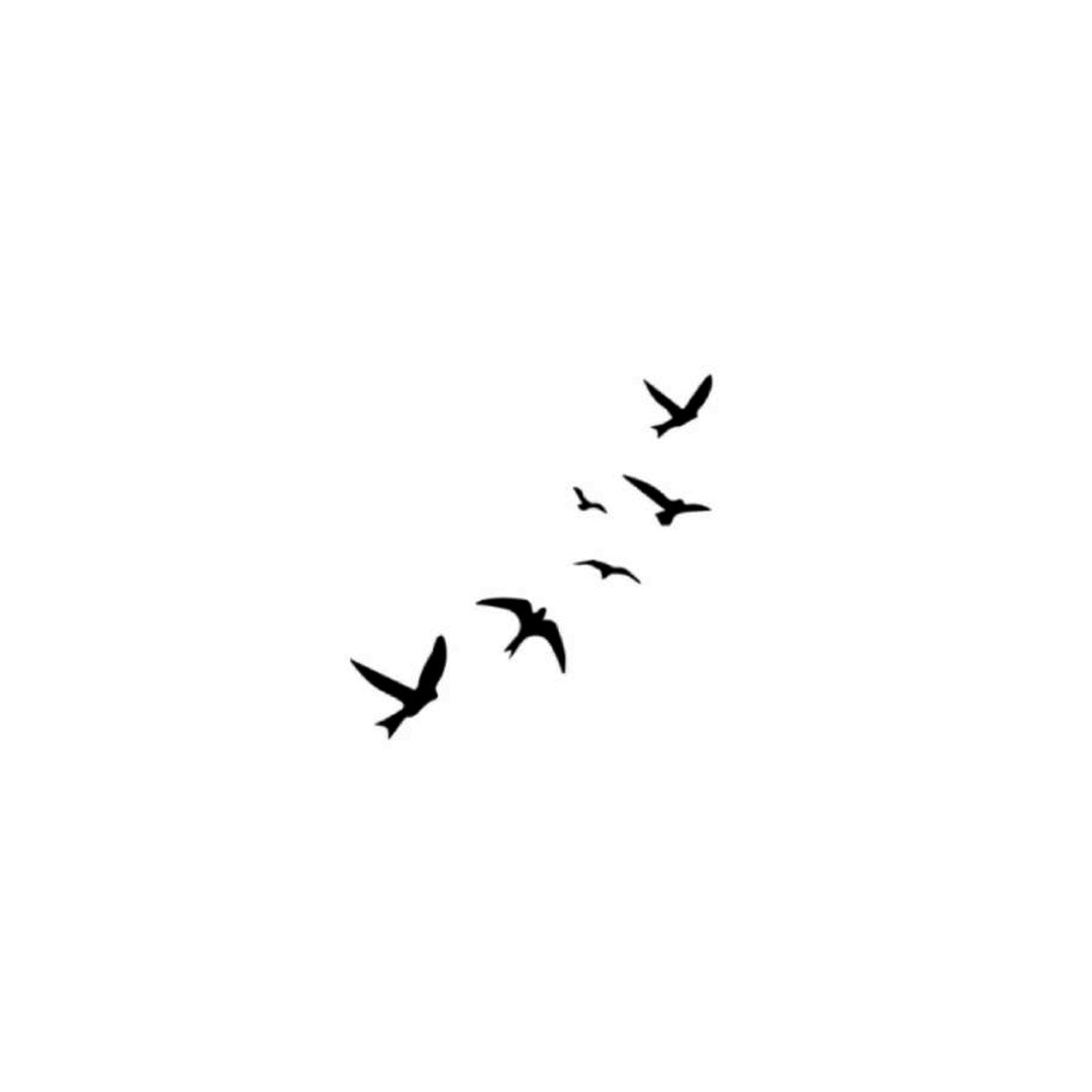 Flying Birds - inkbolt