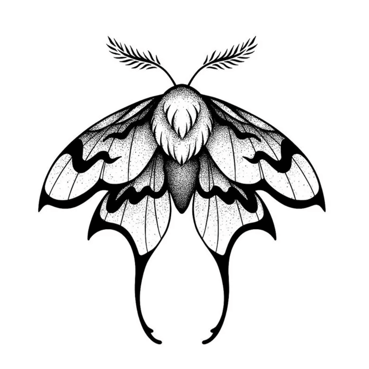 Lunar Moth - inkbolt
