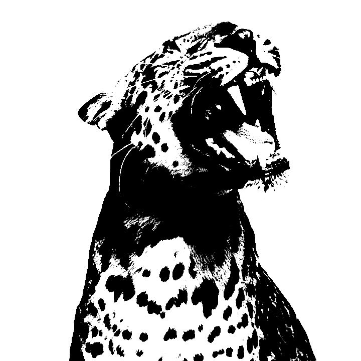 Roaring Cheetah - inkbolt
