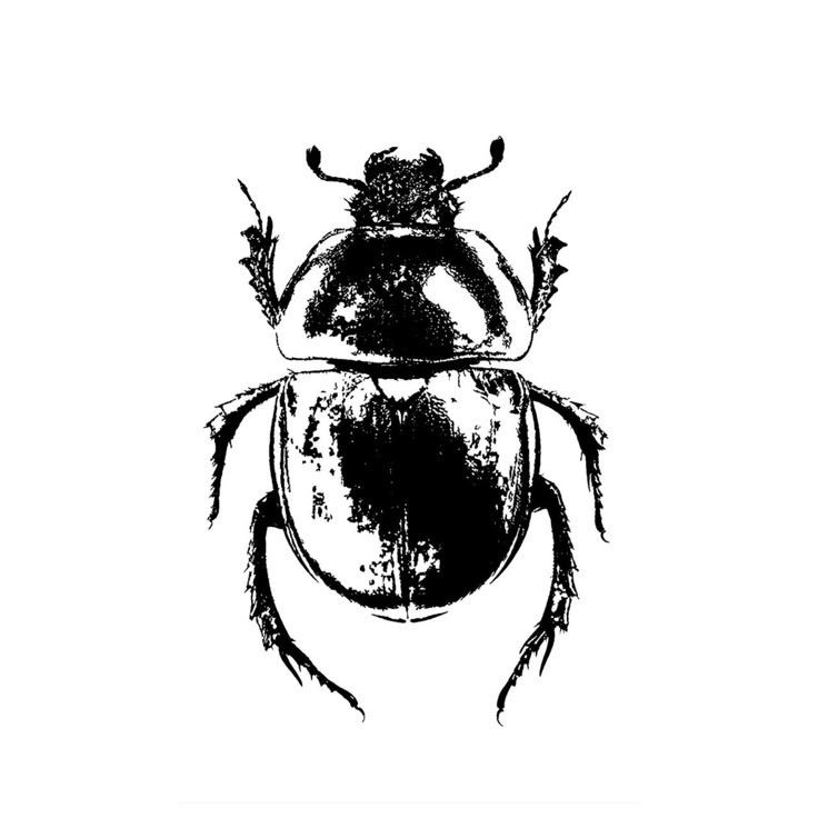 Scarab Beetle - inkbolt