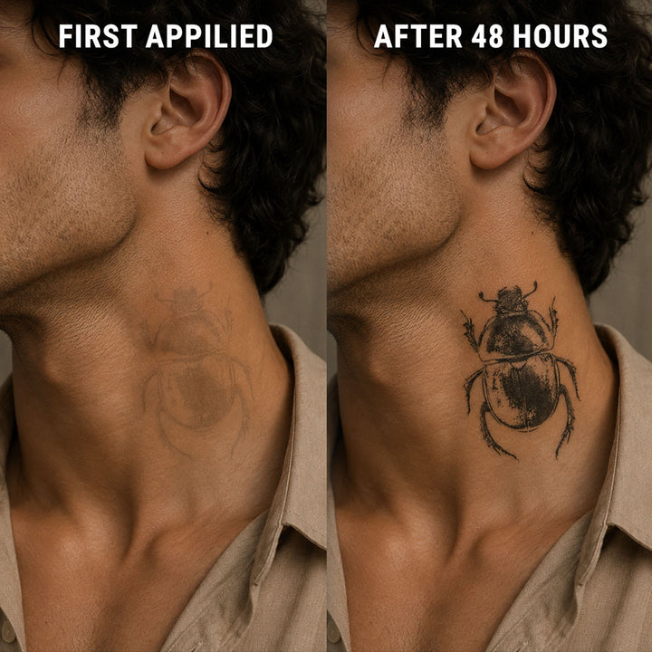 scarab-beetle-after-before