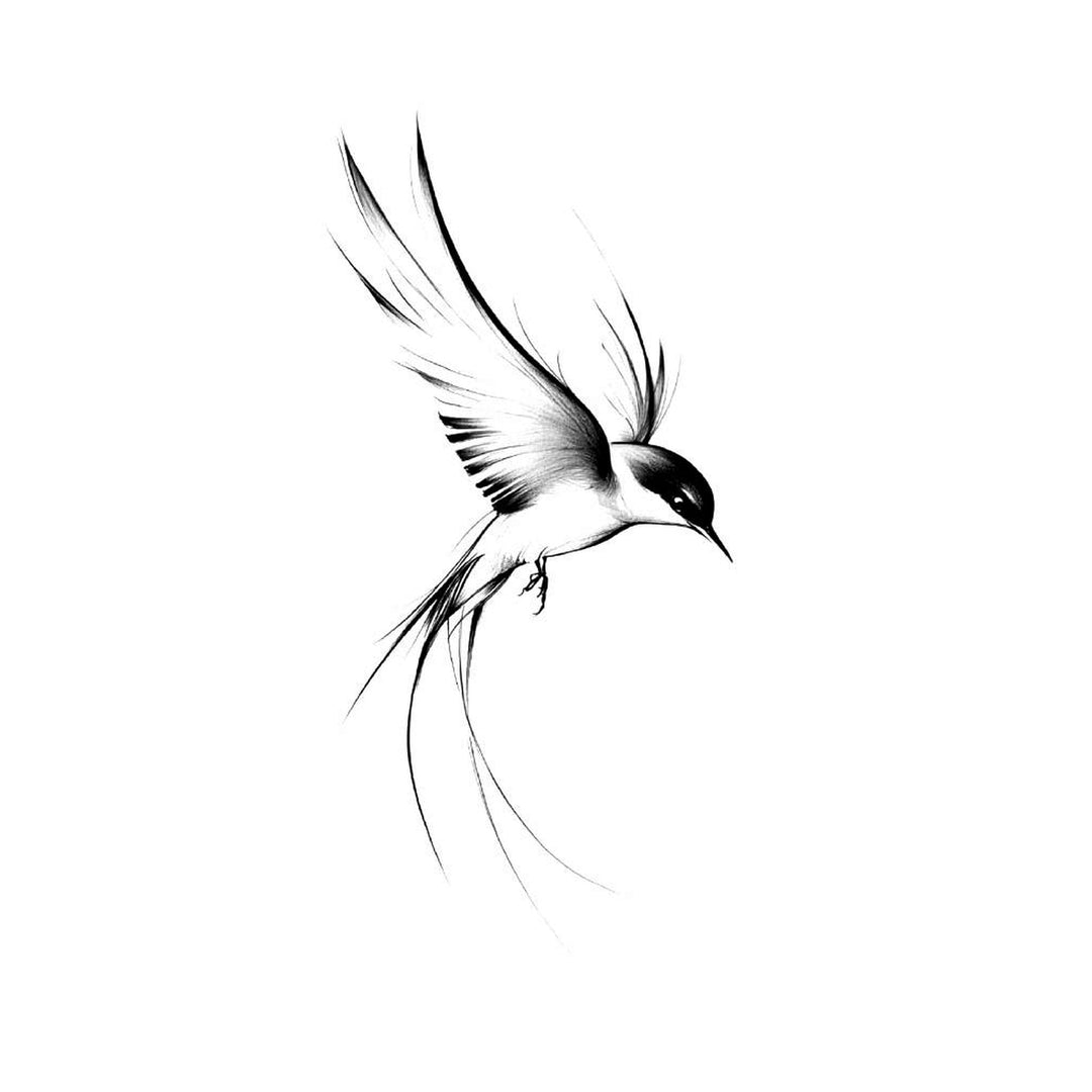 Swallow - inkbolt