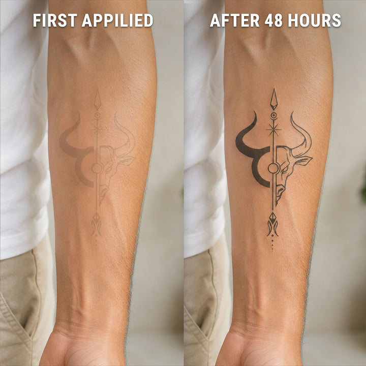 taurus-bull-after-before